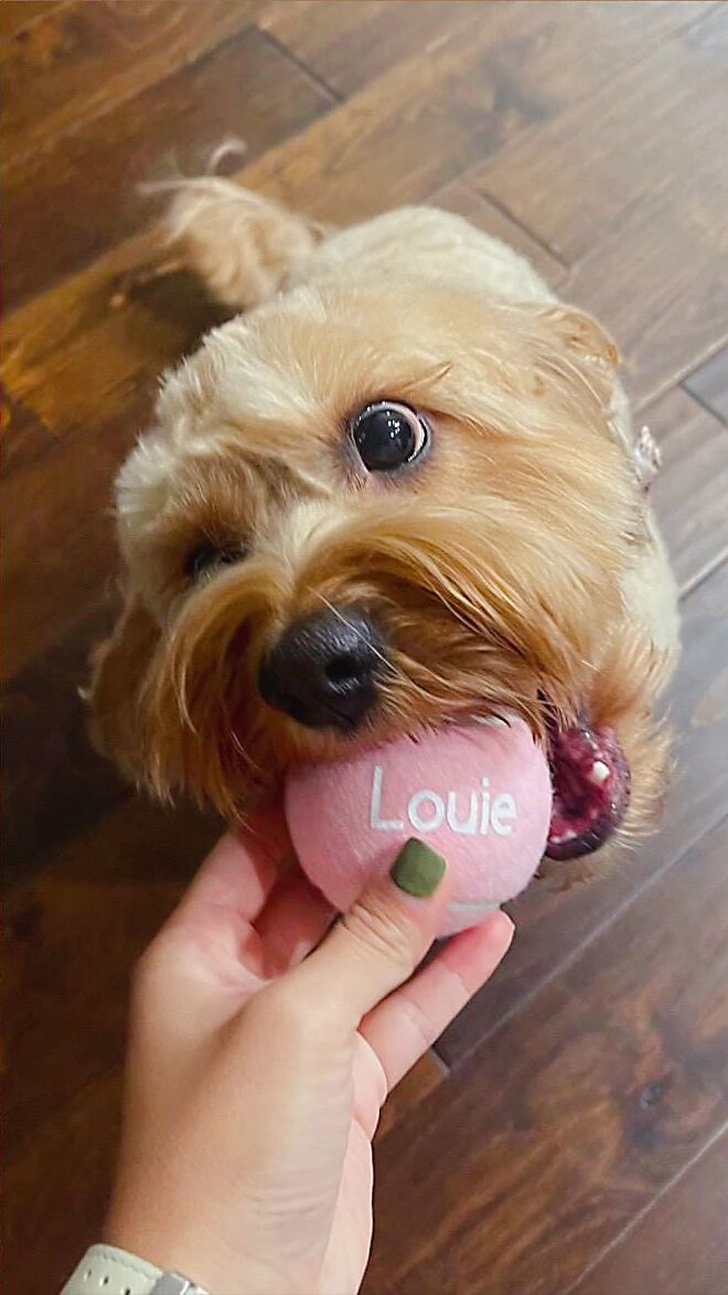 Personalized Pastel Tennis Balls for Dogs