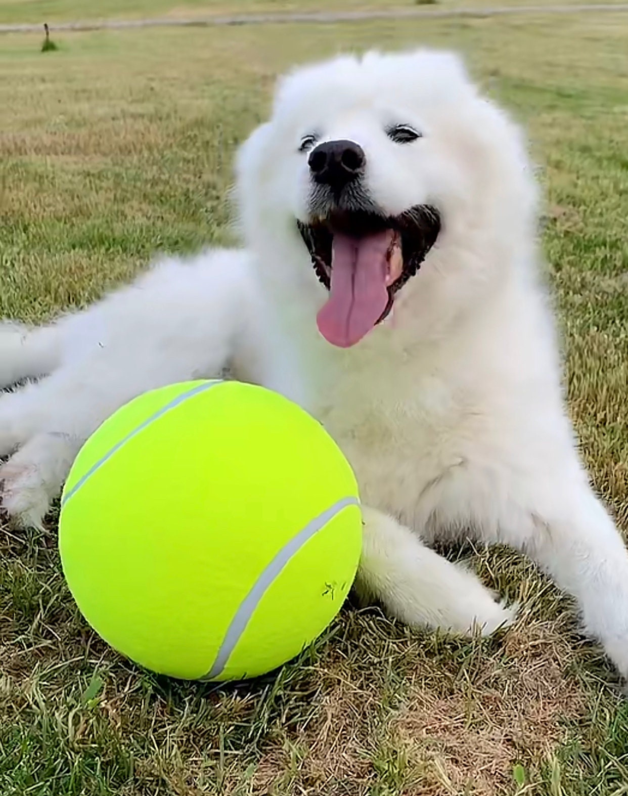 9.5 Inch Tennis Ball